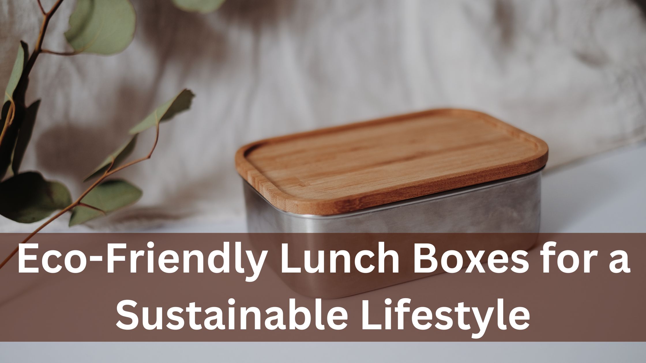 Eco-Friendly Lunch Boxes for a Sustainable Lifestyle