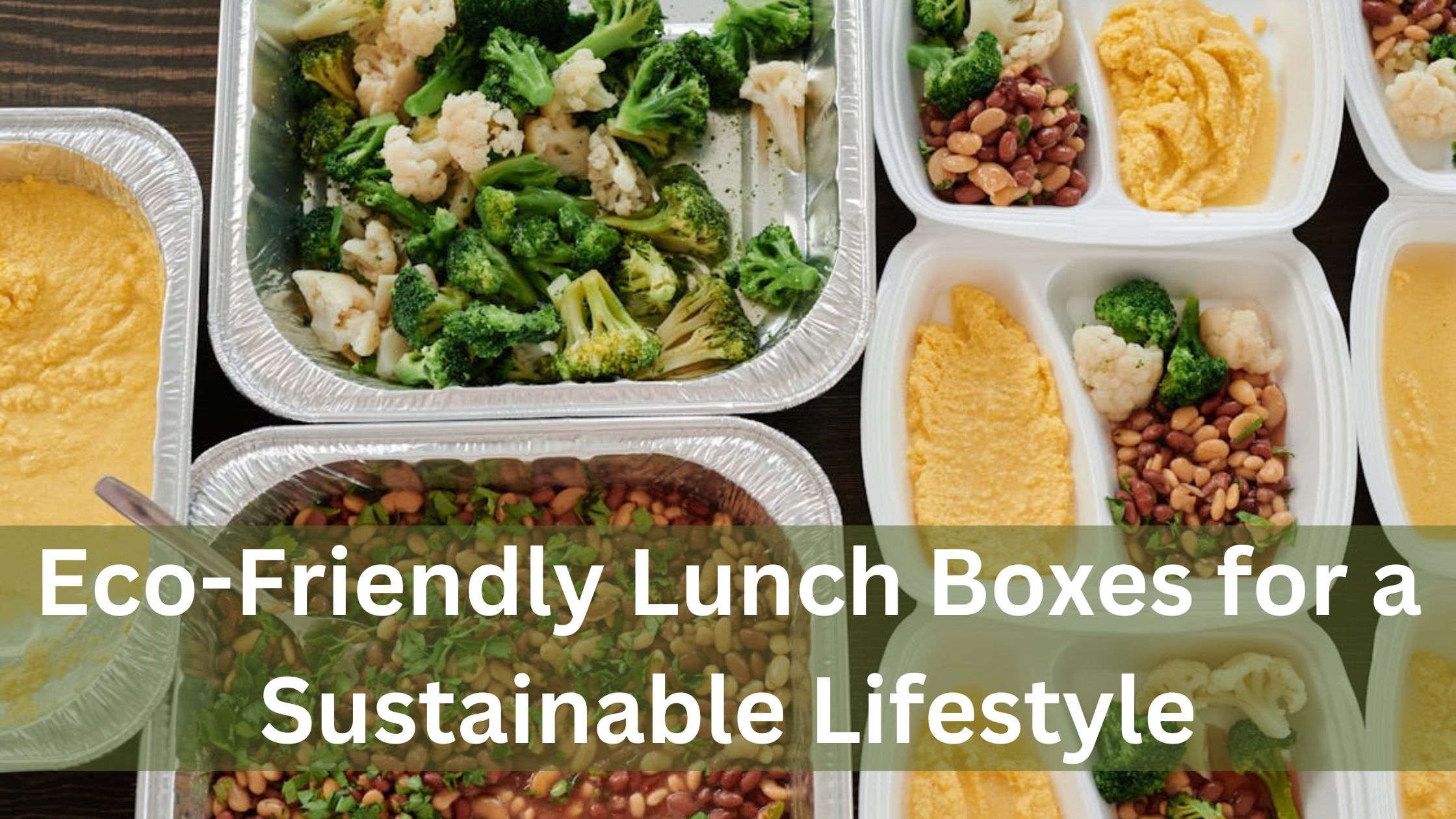 Eco-Friendly Lunch Boxes for a Sustainable Lifestyle